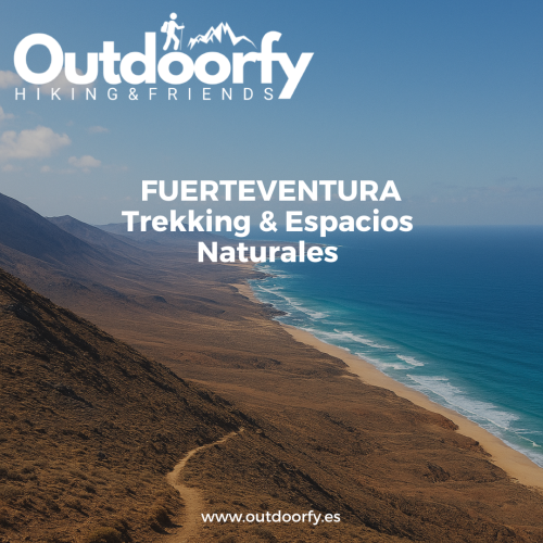 actividades-web-10