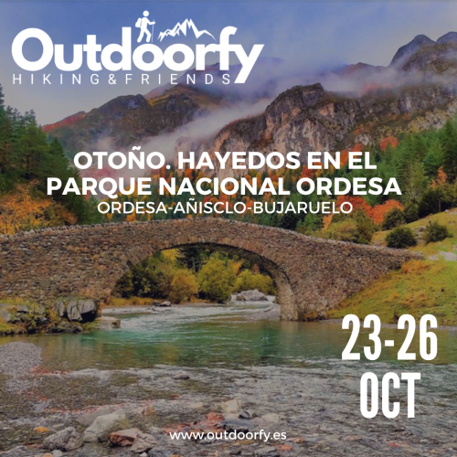 actividades-web-38